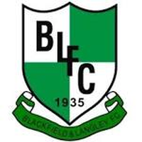 Blackfield   Langley
