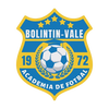 Bolintin Vale