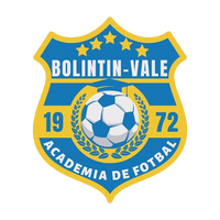 Bolintin Vale