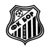 Bor 1919'