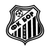 Bor 1919