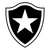 Botafogo RJ Youth