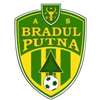 Bradul Putna