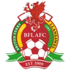 Briton Ferry Llansawel AFC