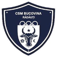 Bucovina Radauti