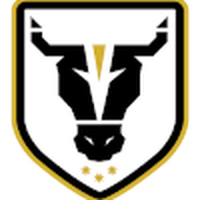 Bulls Academy