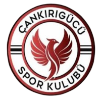 Cankirigucu