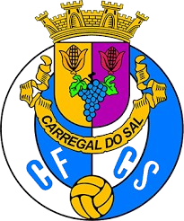 Carregal do Sal