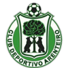 CD Arenteiro