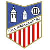 CD Artistico Navalcarnero