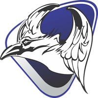 CD FC Cuervos Blancos