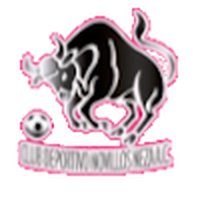 CD Novillos Neza
