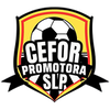 Cefor Promotora San Luis