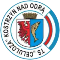 Celuloza Kostrzyn