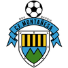 CF Montanesa