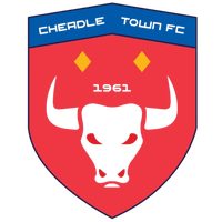 Cheadle Town Stingers (W)