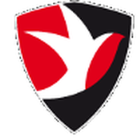 Cheltenham Town (W)