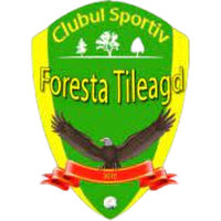 CS Foresta Tileagd