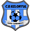 CS Gilortul Targu Carbunesti