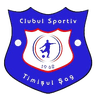 CS Timisul Sag