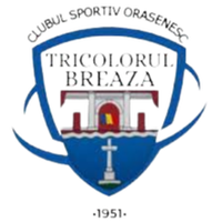 CS Tricolorul Breaza