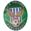CS Vulturii Farcasesti