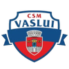 CSM Vaslui