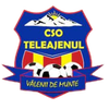 CSO Teleajenul Valeni de Munte