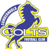 Cumbernauld Colts'
