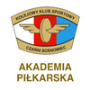 Czarni Sosnowiec II (W)
