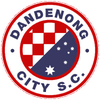 Dandenong City SC