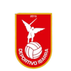 Deportivo Ibarra