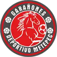 Deportivo Metepec