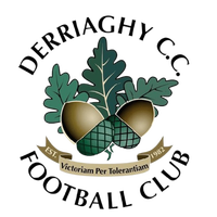 Derriaghy FC