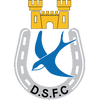 Dungannon Swifts