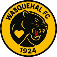 ES Wasquehal U17