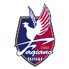 Fagiano Okayama