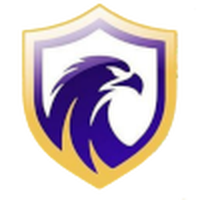 Falcon FC SE Youth