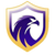 Falcon FC SE Youth