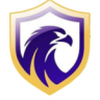 Falcon FC