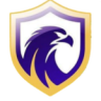 Falcon FC