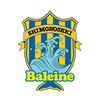 FC Baleine Shimonoseki