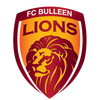 FC Bulleen Lions