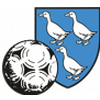 FC Echichens