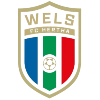 FC HOGO Hertha Wels