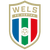 FC HOGO Hertha Wels