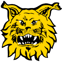 FC Ilves II (W)