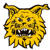 FC Ilves U21