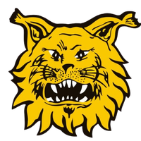 FC Ilves U21