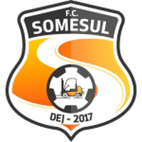 FC Somesul Dej